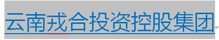 &#20247;&#24425;&#23448;&#32593;&#45;&#40;&#20013;&#22269;&#41;&#32929;&#20221;&#26377;&#38480;&#20844;&#21496;