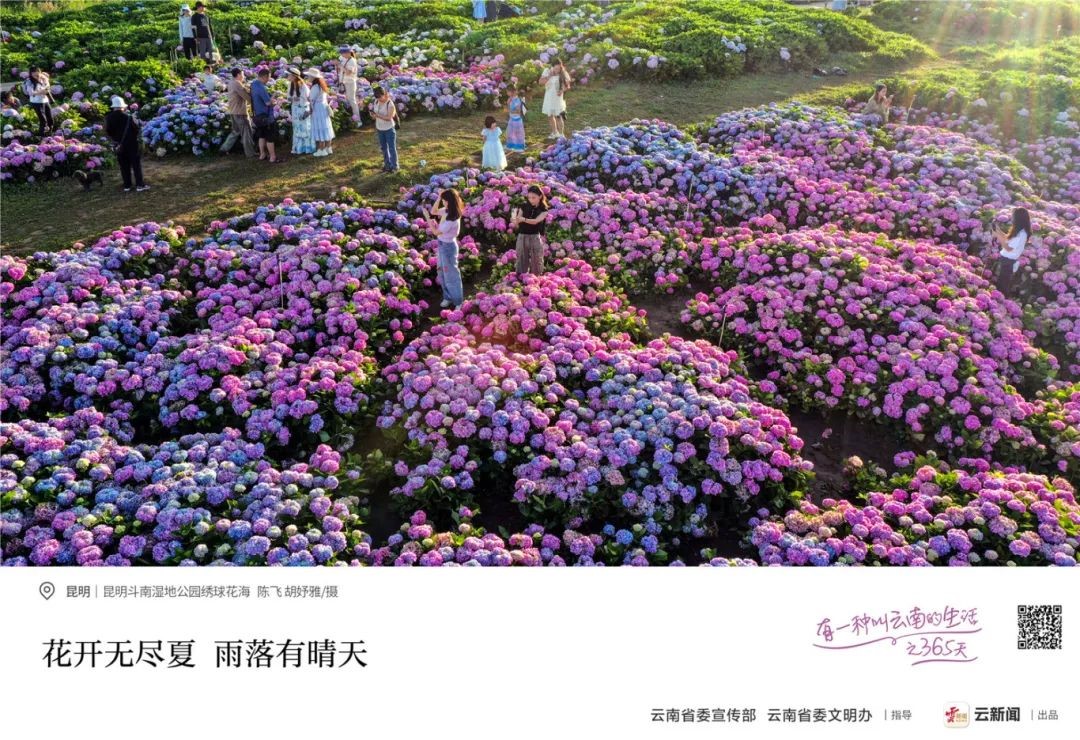 &#20247;&#24425;&#23448;&#32593;&#45;&#40;&#20013;&#22269;&#41;&#32929;&#20221;&#26377;&#38480;&#20844;&#21496;